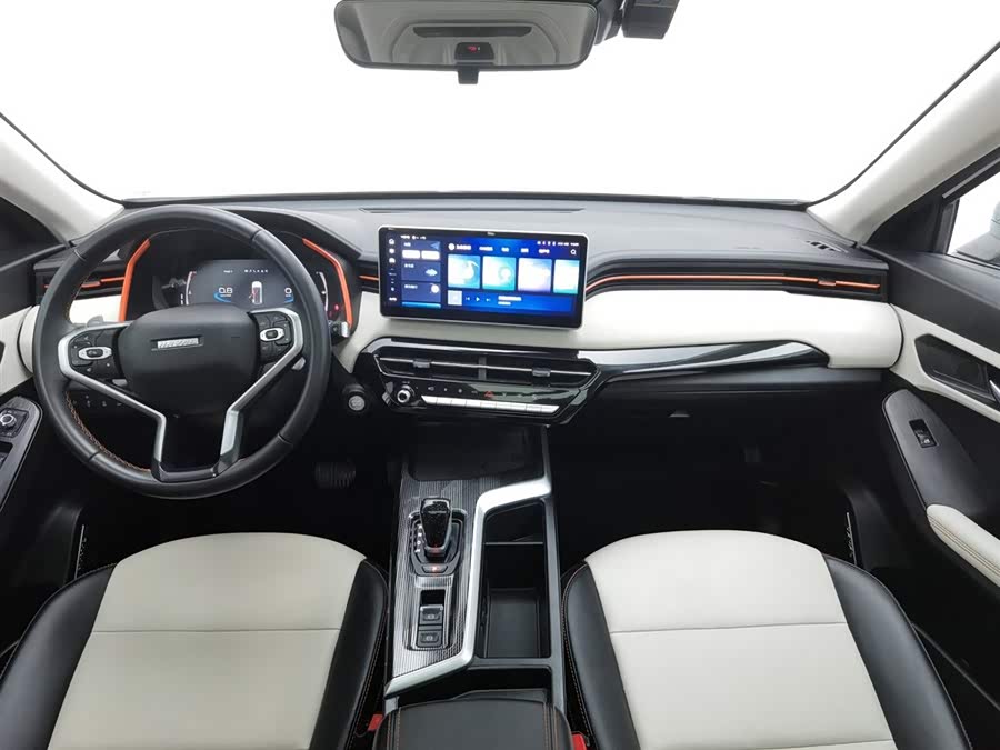 Haval Rabbit 2024 #6 Haval Rabbit 2024 car image #6