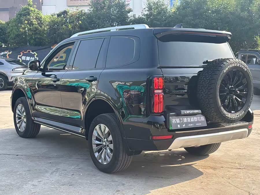 Tank 500 New Energy 2024 car image #6