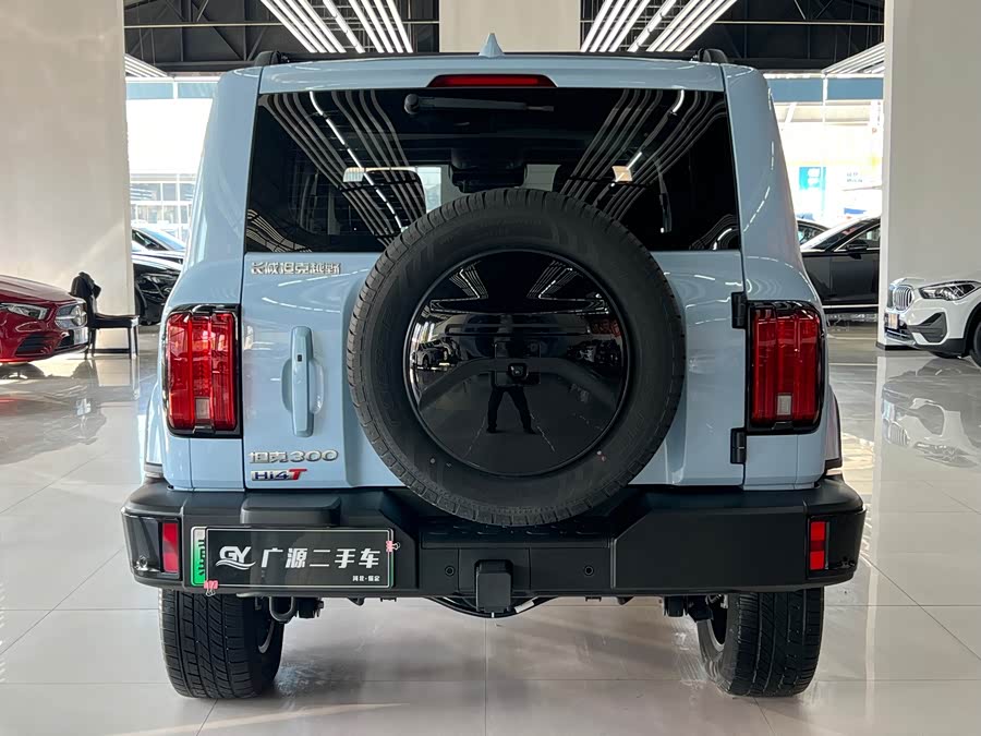 Tank 300 New Energy 2024 car image #6