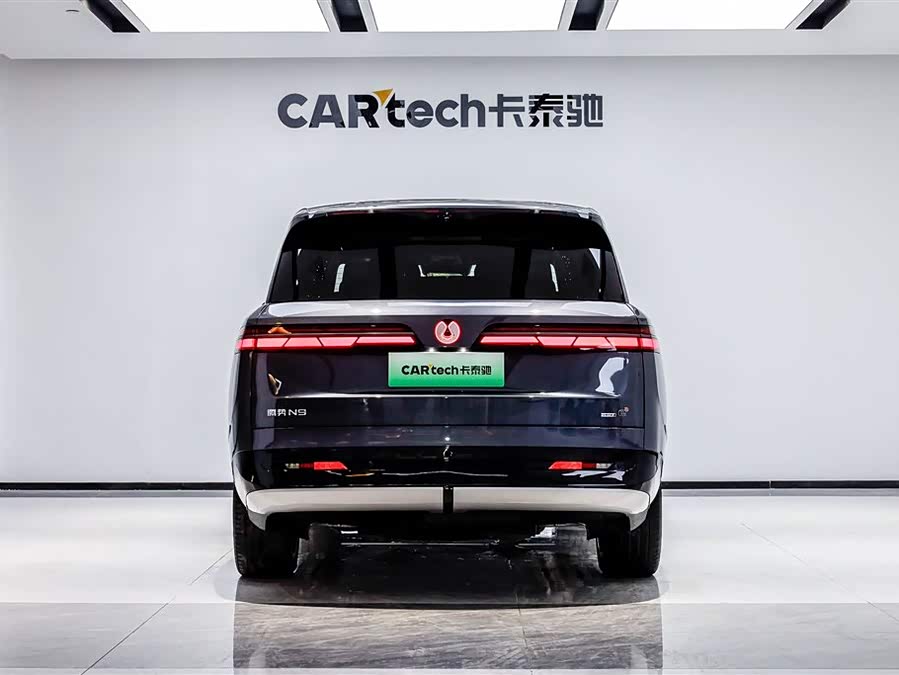 Denza N9 2025 imagen de coche #6