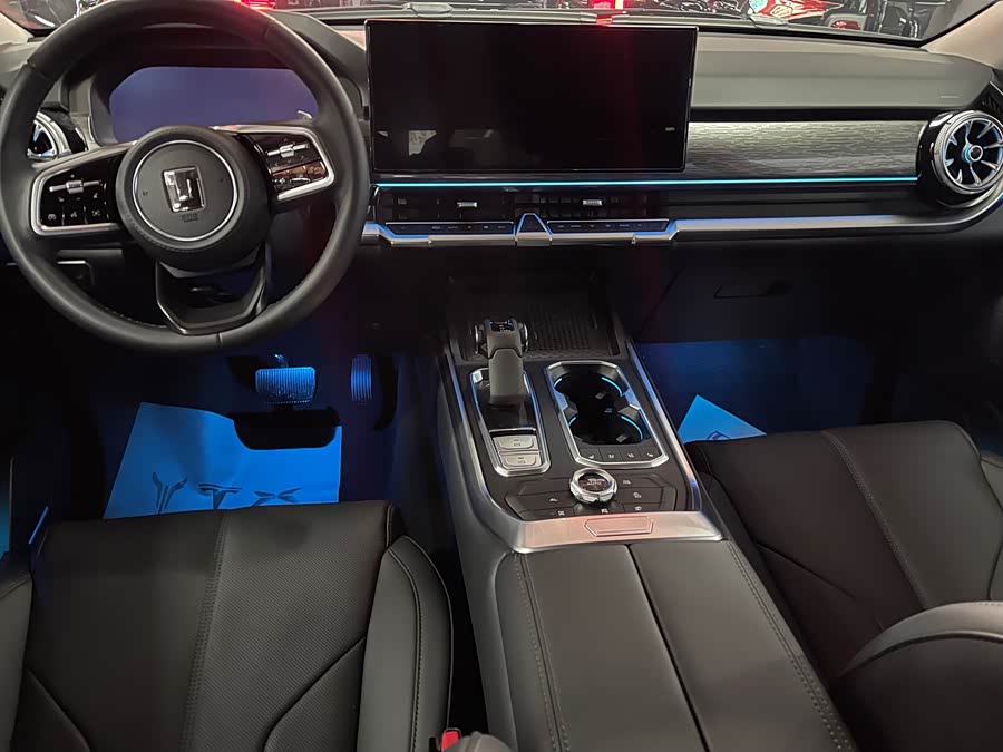 Tank 400 2024 car image #6