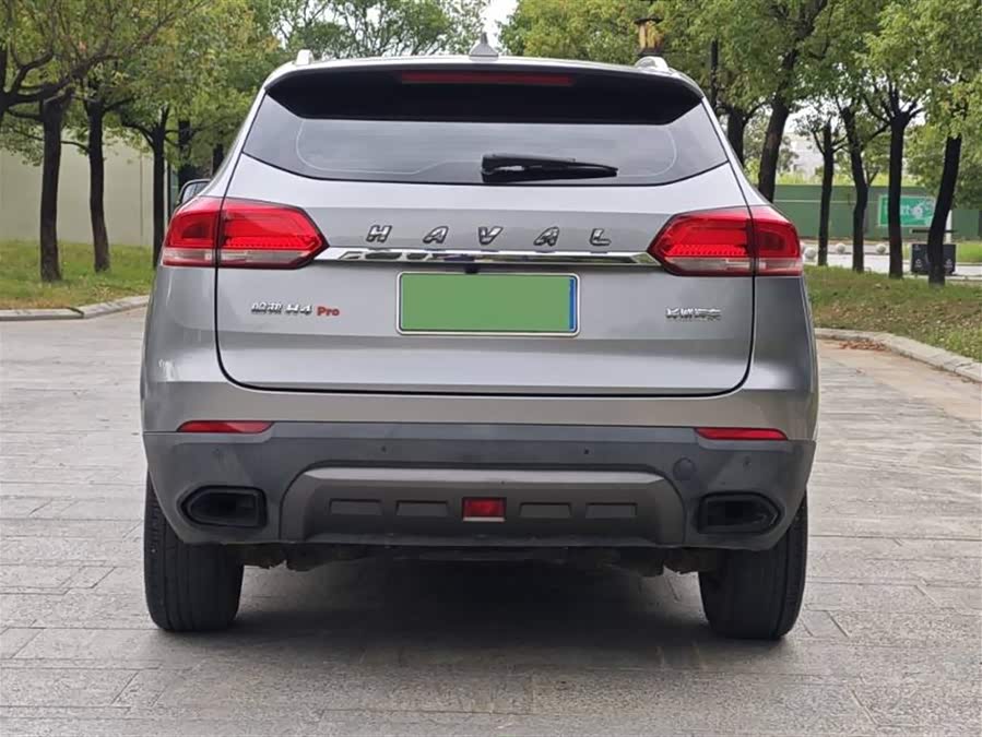 Haval H4 2019 car image #6