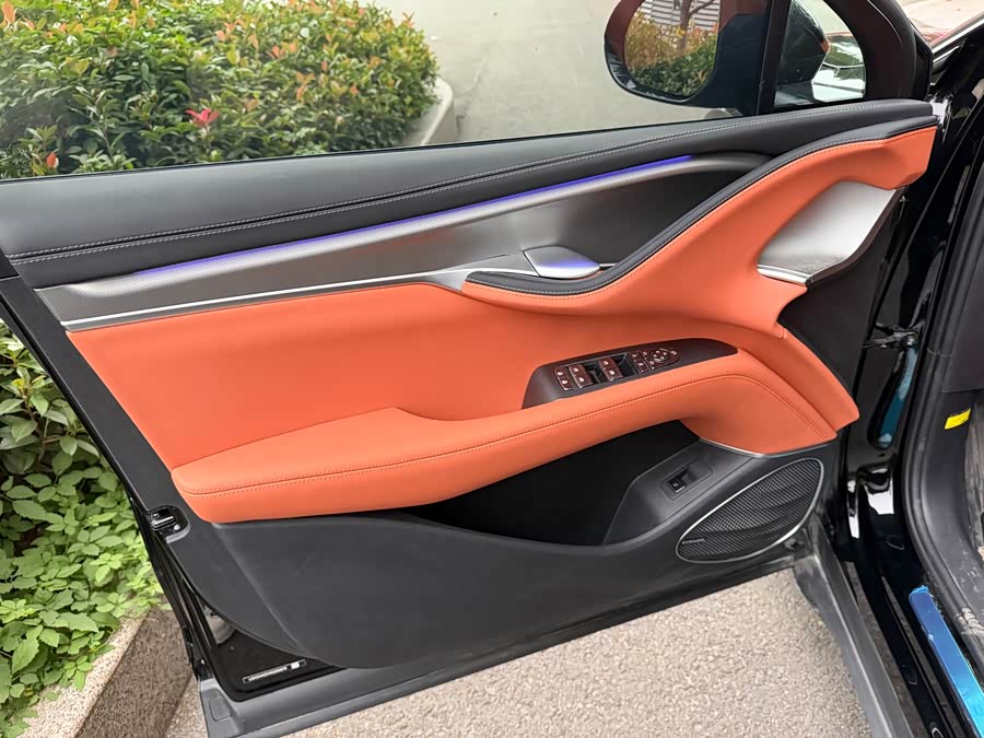 BYD Sea Lion 07 EV 2025 car image #6