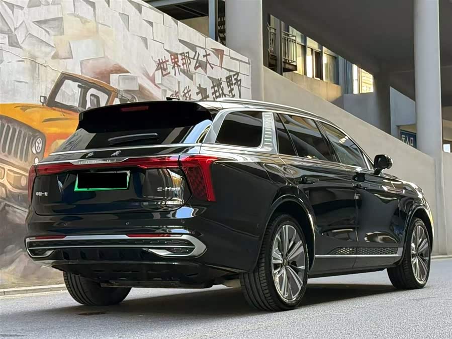 HongQi E-HS9 2023 immagine di auto #6