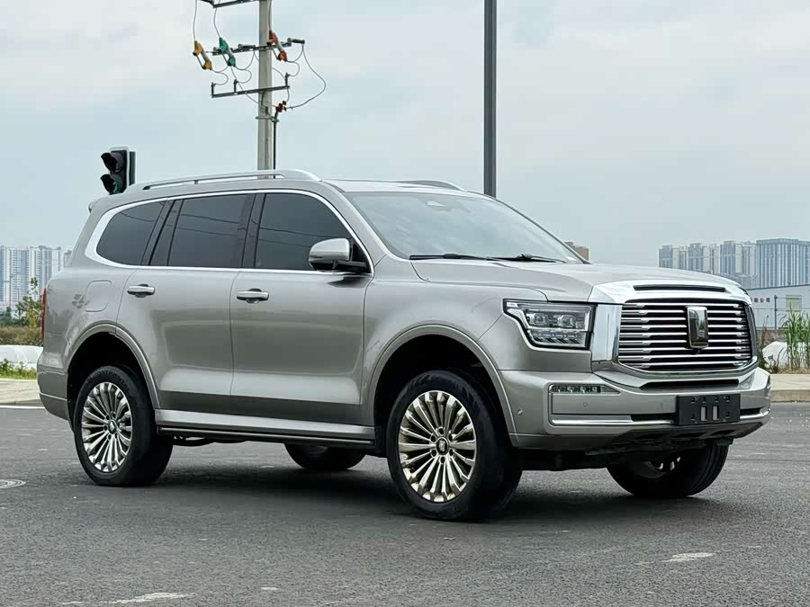 Tank 500 New Energy 2024 immagine di auto #6