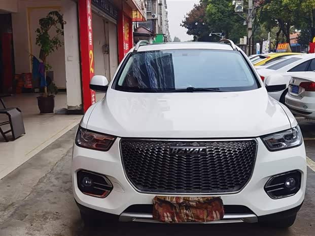 Haval H2s 2019 imagem de carro #6