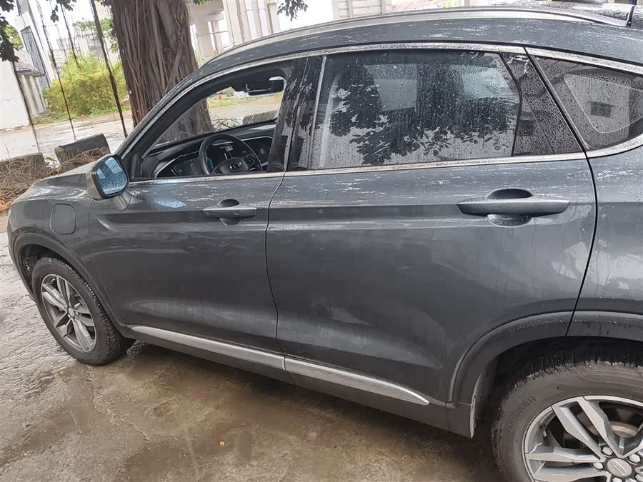 GEELY Tugella New Energy 2019 car image #6