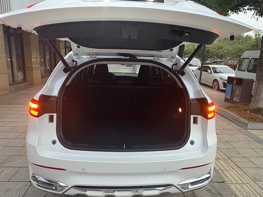 Haval F7 2019 car image #6
