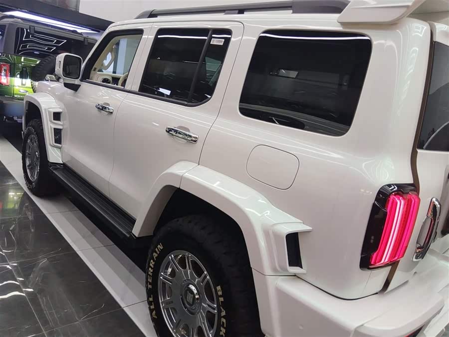 Tank 300 New Energy 2025 imagem de carro #6