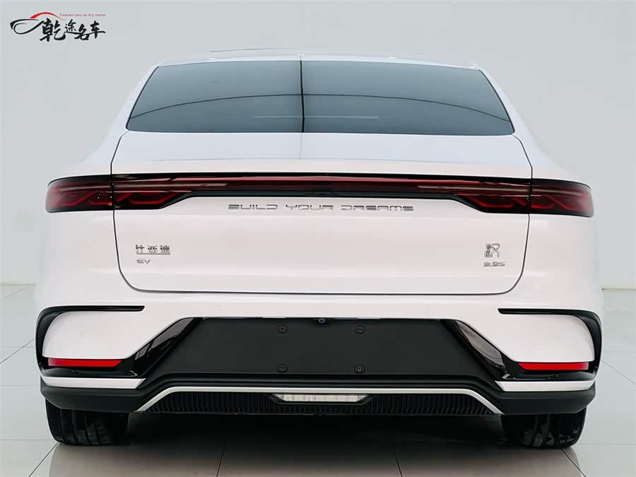 BYD Han 2022 immagine di auto #6