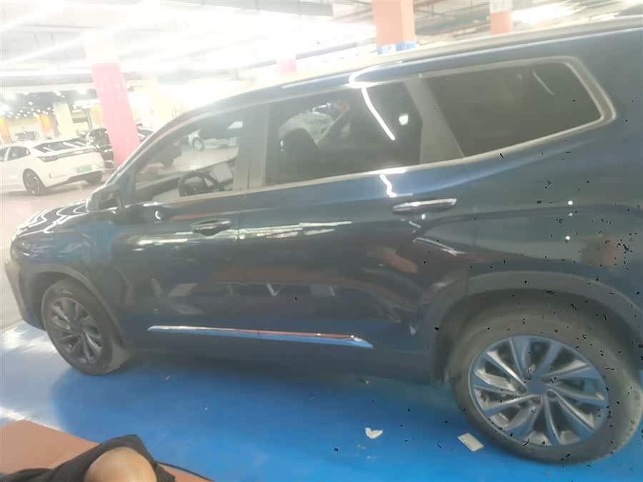 睿蓝汽车 睿蓝9 2024 汽车图片 #6