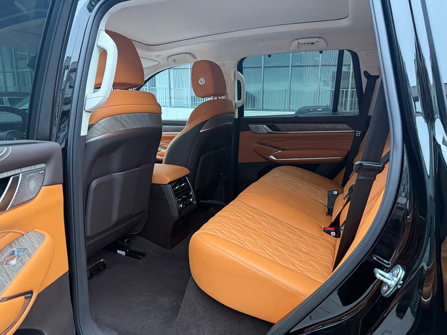 Tank 500 New Energy 2023 #6 Tank 500 New Energy 2023 car image #6