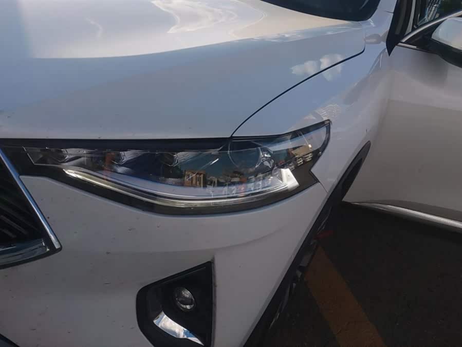 Haval F7x 2021 immagine di auto #6