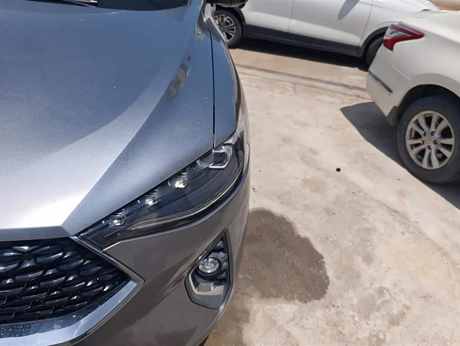 Haval F7x 2020 #6 Haval F7x 2020 car image #6