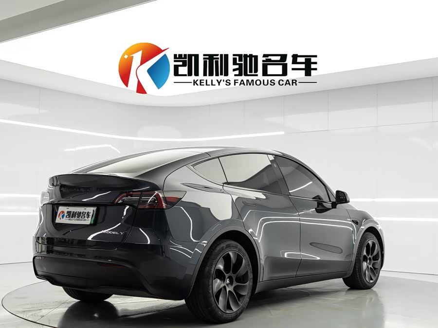Tesla Model Y 2024 car image #6
