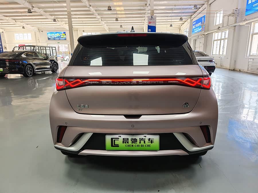 比亚迪 海豚 2022 汽车图片 #6