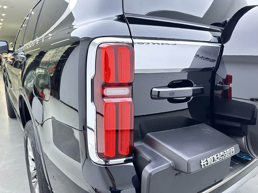 Tank 500 New Energy 2025 immagine di auto #6