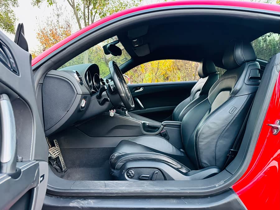 Audi TTS 2010 imagem de carro #6