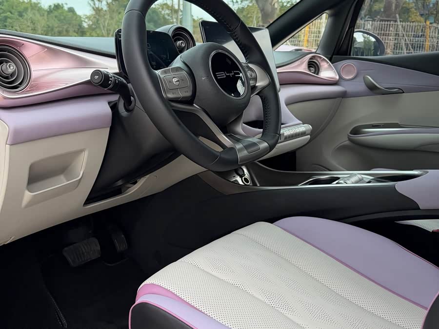 比亚迪 海豚 2023 汽车图片 #6