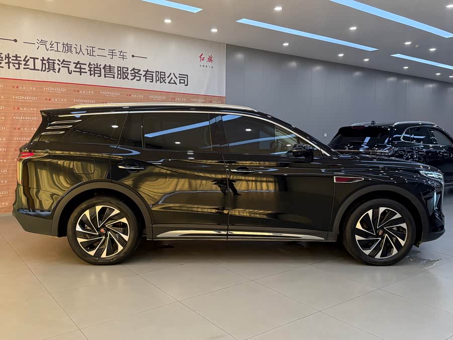 HongQi HS7 PHEV 2024 car image #6