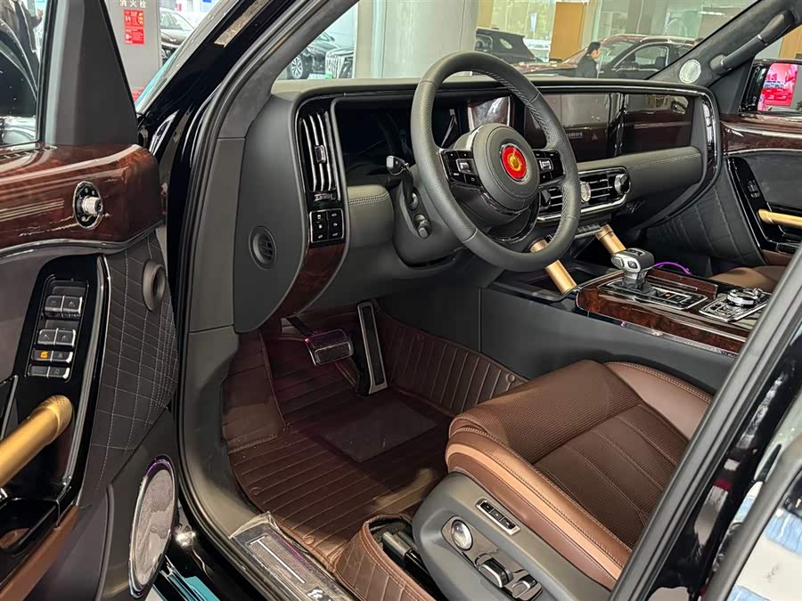 HongQi GuoYao car image #6