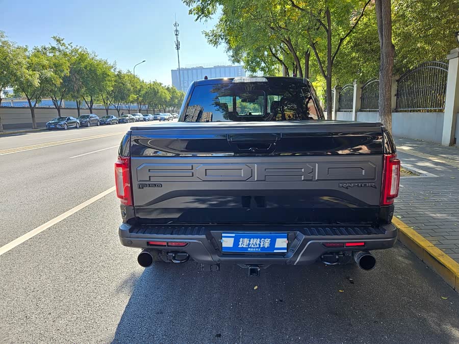 Ford F-150 Raptor 2018 car image #6