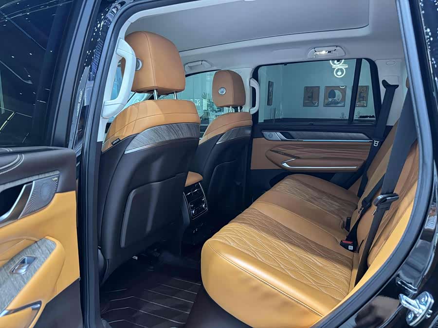 Tank 500 New Energy 2023 car image #6