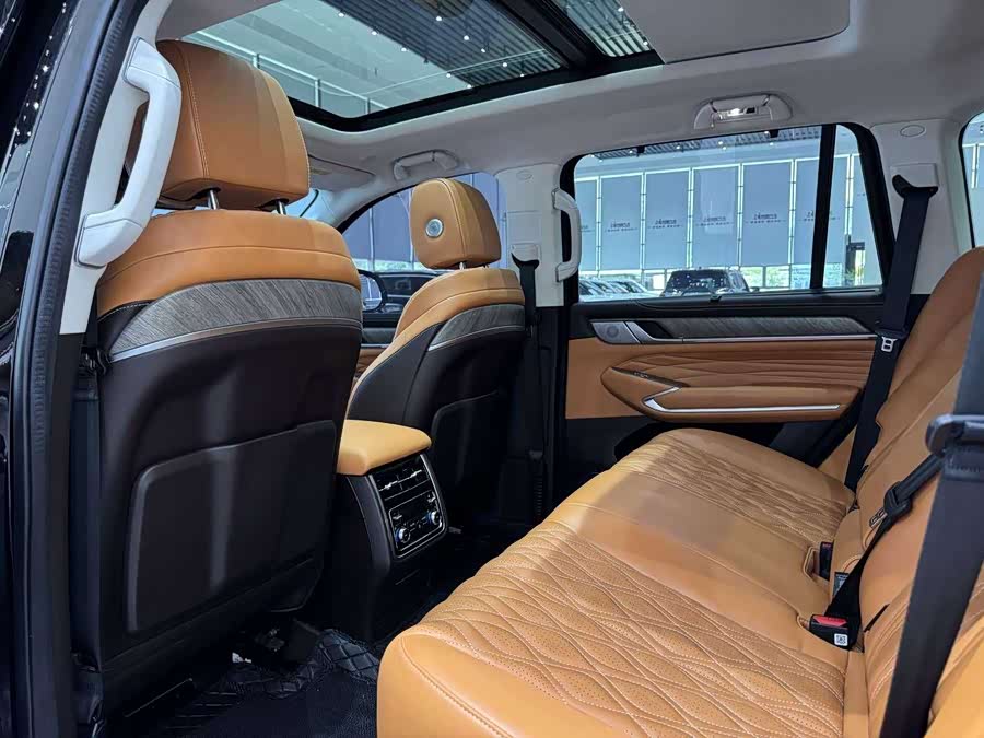 Tank 500 New Energy 2023 car image #6