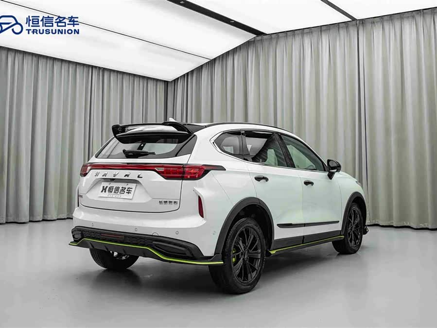 Haval Rabbit 2021 car image #6