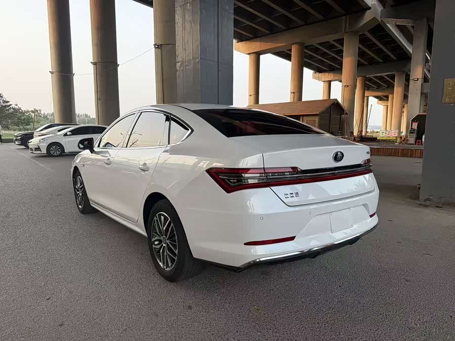 BYD Qin Pro New Energy 2020 car image #6