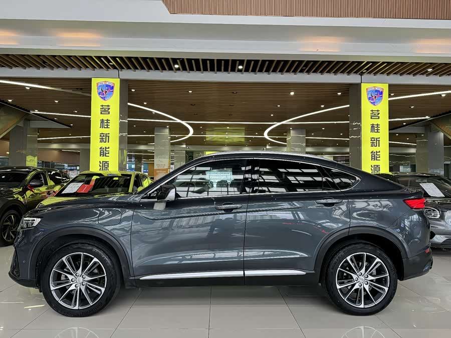 GEELY Tugella New Energy 2019 car image #6