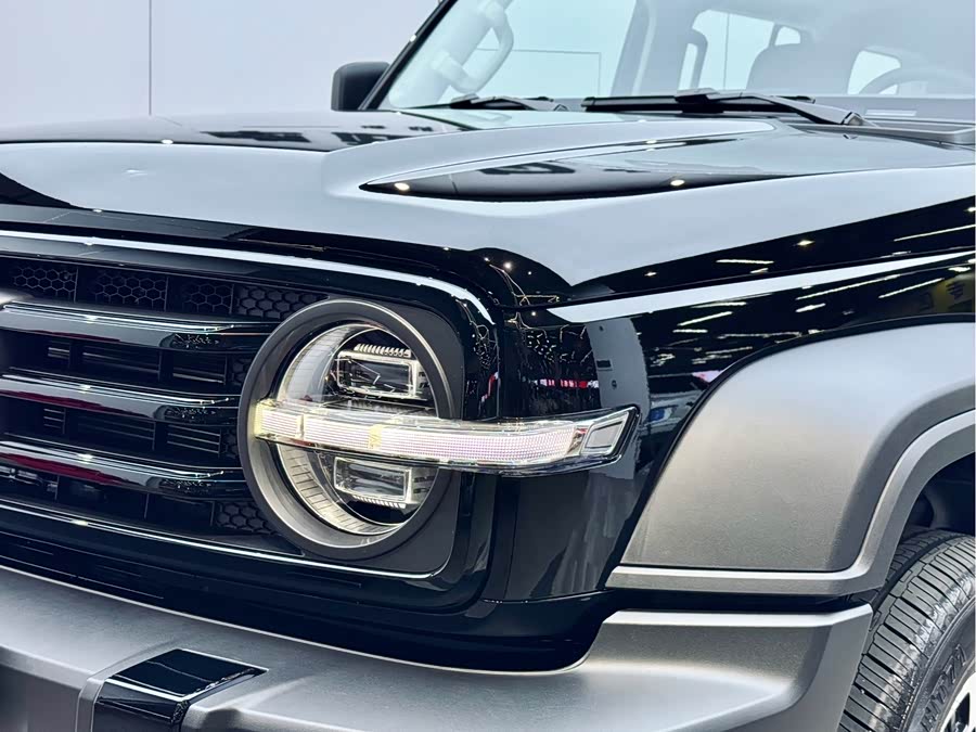 Tank 300 New Energy 2025 #6 Tank 300 New Energy 2025 immagine di auto #6