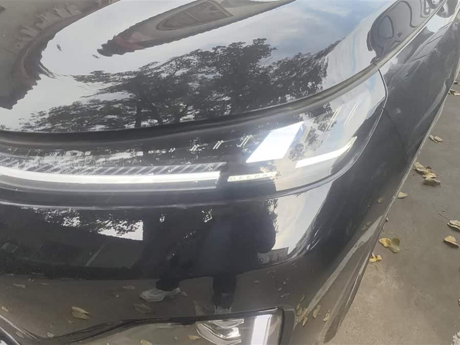 Deepal S09 2025 immagine di auto #6