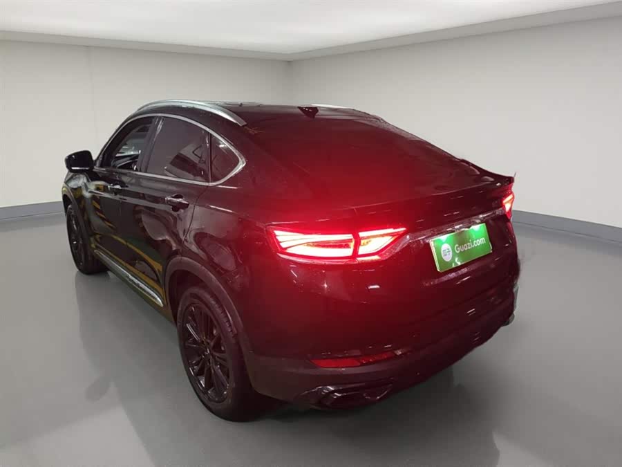 GEELY Tugella New Energy 2021 car image #6