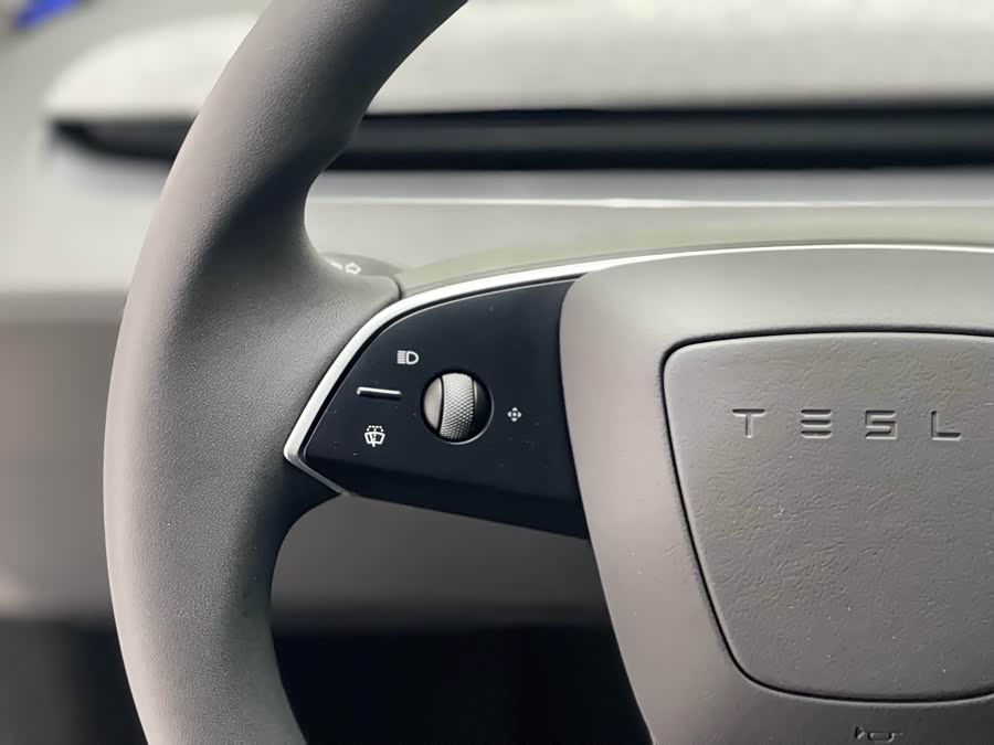 Tesla Model Y 2025 car image #6
