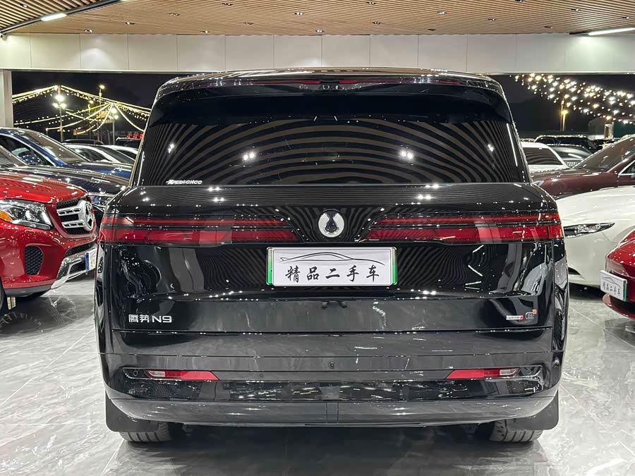 Denza N9 2025 #6 Denza N9 2025 car image #6