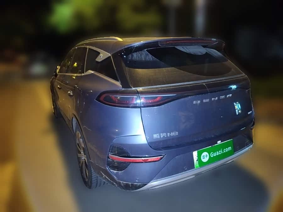 Denza N8 2023 #6 Denza N8 2023 car image #6