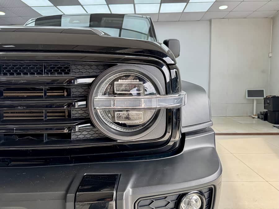 Tank 500 New Energy 2024 immagine di auto #6