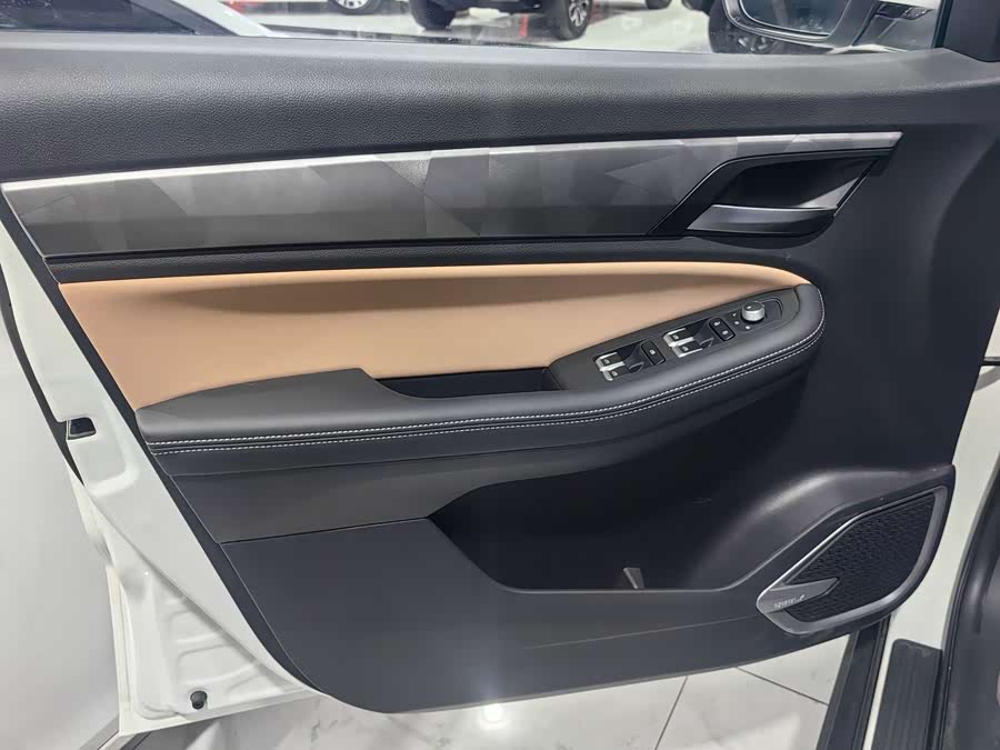 GEELY OkavangoPRO 2025 car image #6