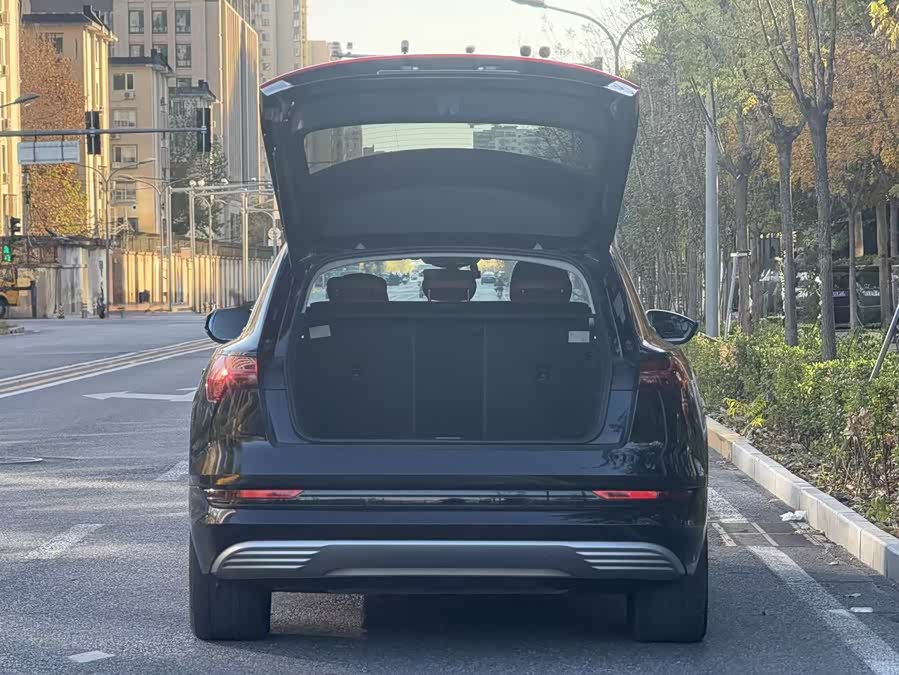 Audi e-tron (Imported) 2022 car image #6