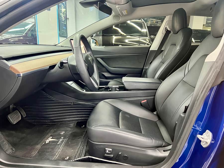 Tesla Model 3 2020 car image #6