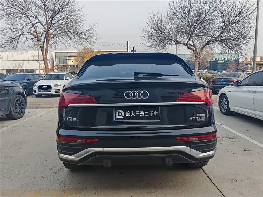 Audi Q5L Sportback 2021 car image #6