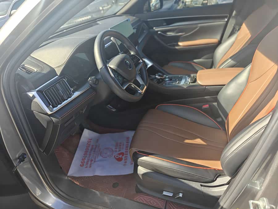 BYD Song Plus 2021 immagine di auto #6