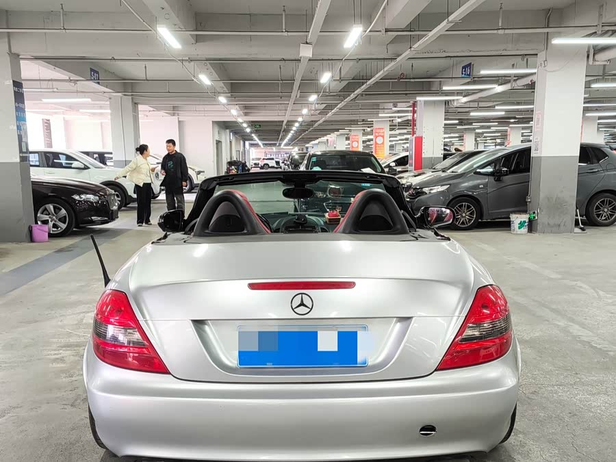 Mercedes-Benz SLK Class 2010 #6 Mercedes-Benz SLK Class 2010 car image #6