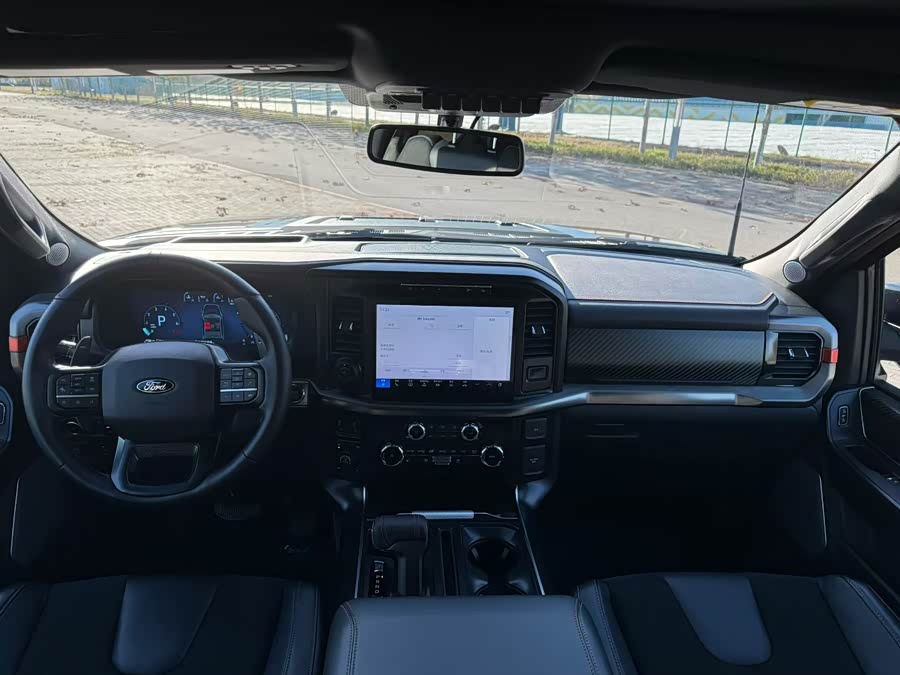 Ford F-150 Raptor 2024 car image #6