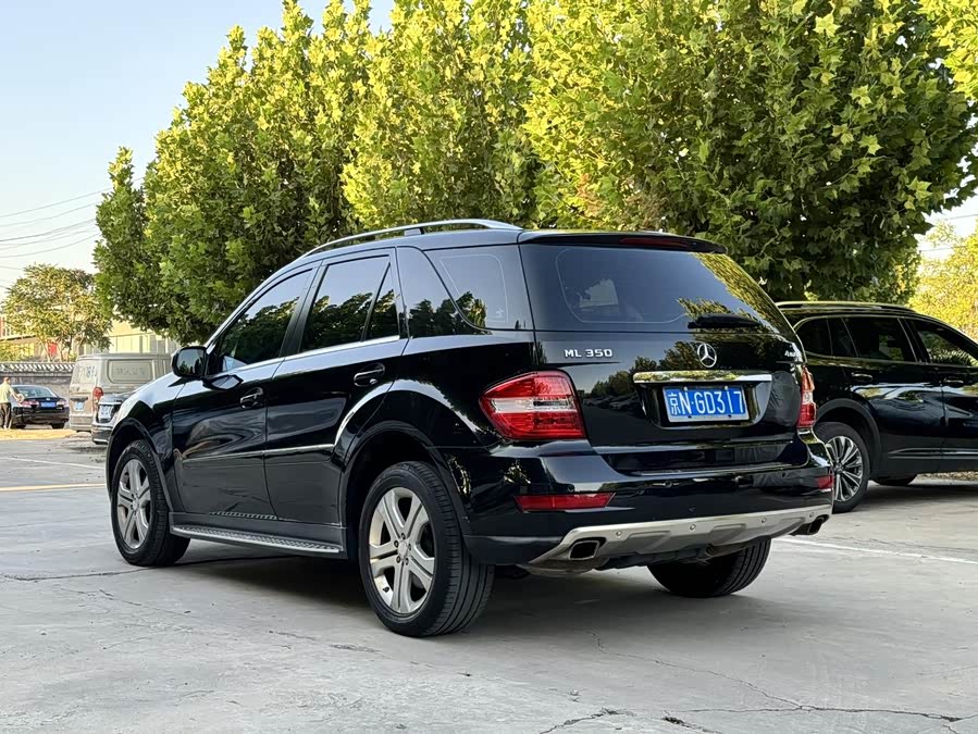 Mercedes-Benz M Class 2009 #6 Mercedes-Benz M Class 2009 car image #6