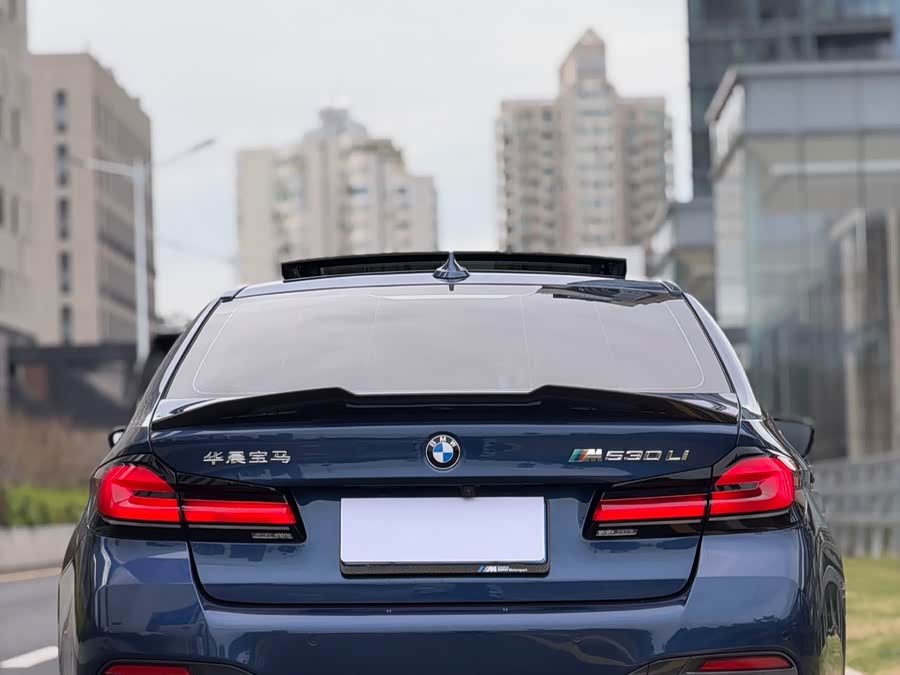 BMW 5 Series 2022 car image #6