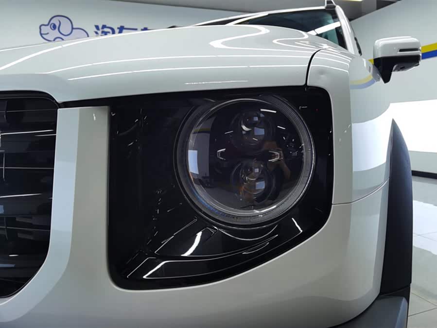 Haval X Dog / Dargo 2021 #6 Haval X Dog / Dargo 2021 car image #6