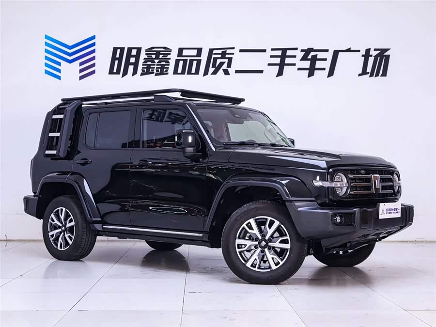 Tank 300 2024 car image #6