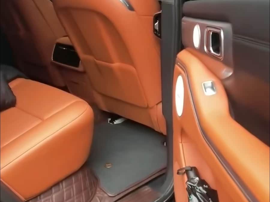 Tank 700 New Energy 2024 #6 Tank 700 New Energy 2024 immagine di auto #6